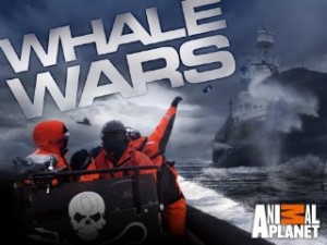 Whale Wars sur Animal Planet