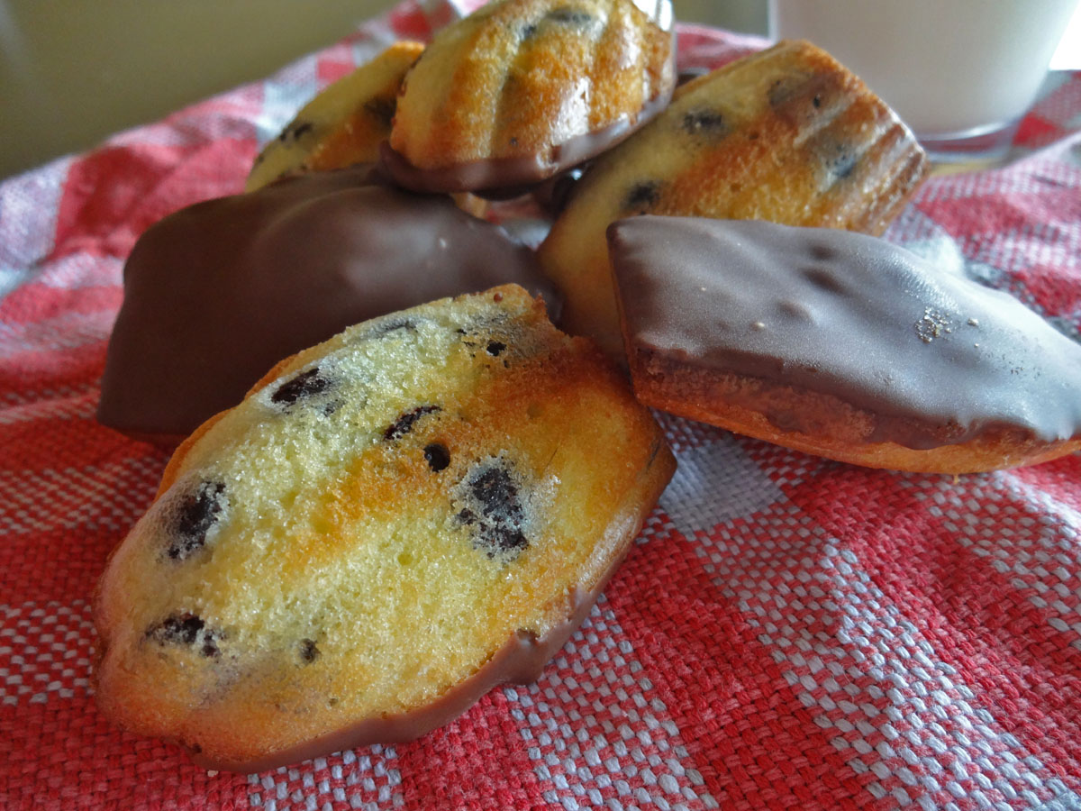 madeleines aux pépites de chocolat